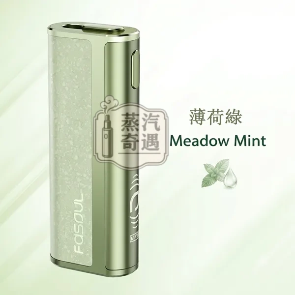 Fasoul C2 二回機薄荷綠 IQOS ILUMA 相容一彈兩抽主機 18秒快熱 20支長續航 台灣現貨正品 Fasoul C2 二回機薄荷綠 IQOS ILUMA 相容一彈兩抽主機 18秒快熱 20支長續航 台灣現貨正品